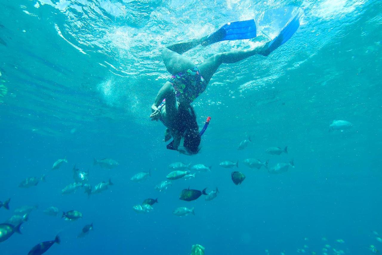 Tabari Dive Lodge Pulau Mansuar Экстерьер фото